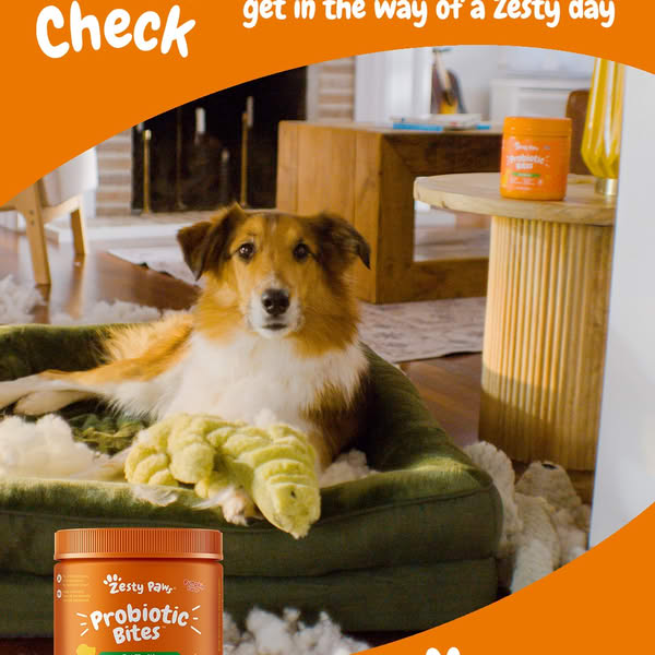 Zesty Paws - Multivitaminico Para Perros 8 en 1